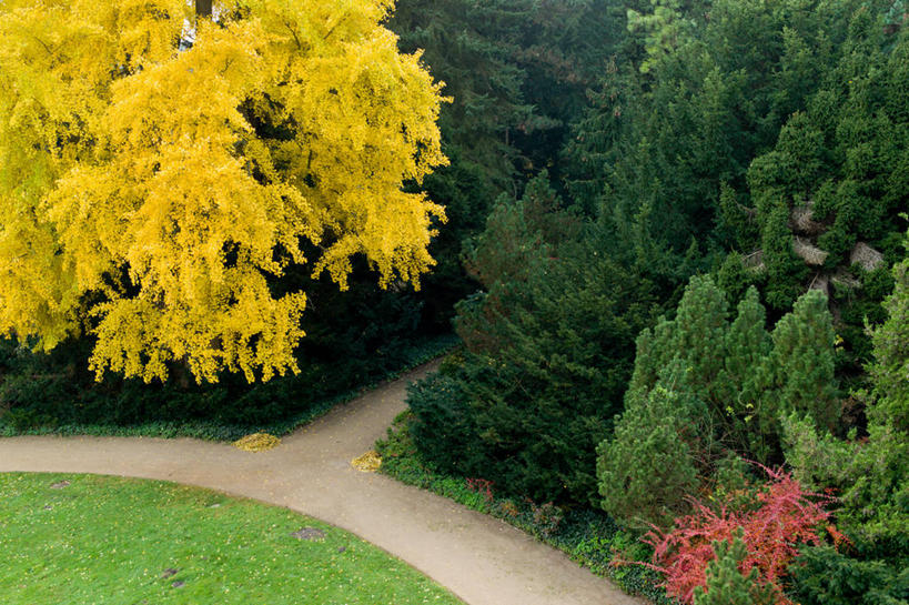 无人,公园,横图,俯视,室外,美景,德国,形状,地形,景观,小路,草,花,树,自然,景色,摄影,园林,灌木,宁静,清新,自然风光,勃兰登堡州,波茨坦,彩图,高角度拍摄