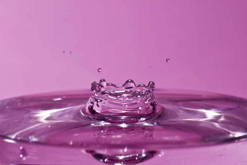 无人,横图,特写,意大利,紫色背景,溅,反射,水花,摄影,纯净,彩图,影棚拍摄