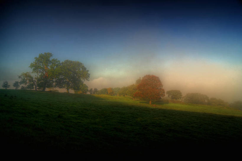 无人,横图,室外,美景,山,雾,日光,英国,阴影,景观,黎明,草,树,绿色,天空,自然,景色,摄影,自然风光,改变,利兹市,秋天,彩图