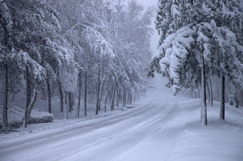 无人,横图,室外,白天,雪,路,韩国,冬天,天气,霜,树,自然,寒冷,摄影,彩图