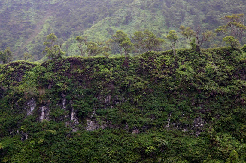 无人,横图,室外,白天,旅游,度假,美景,美国,景观,悬崖,娱乐,树,自然,享受,休闲,陡峭,景色,放松,摄影,宁静,自然风光,考艾岛,太平洋岛屿,彩图