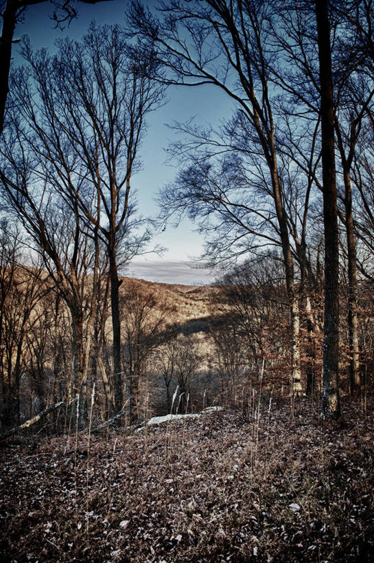 无人,竖图,室外,白天,旅游,度假,美景,美国,地形,景观,娱乐,树,天空,自然,享受,休闲,景色,放松,摄影,生长,宁静,泥,自然风光,肯塔基州,猛犸洞国家公园,彩图