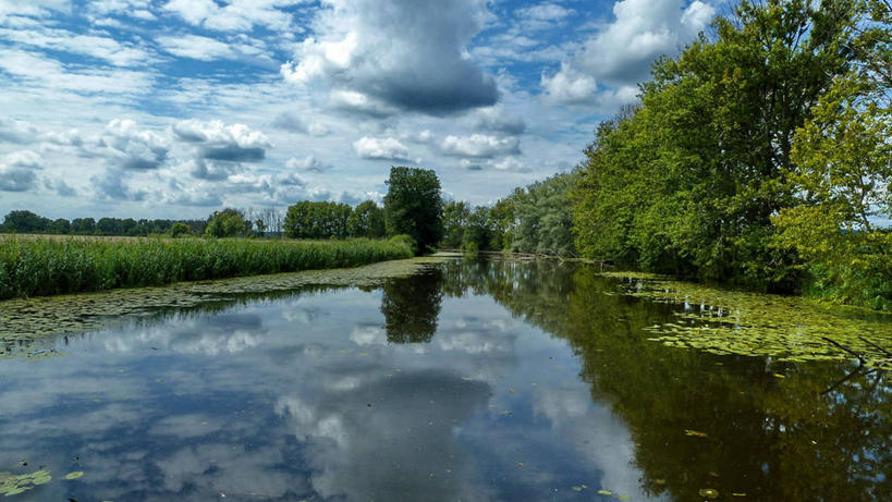 无人,横图,室外,白天,旅游,度假,河流,美景,叶子,德国,漂浮,反射,景观,云,娱乐,树,风景,天空,自然,享受,休闲,景色,放松,摄影,宁静,自然风光,勃兰登堡州,彩图