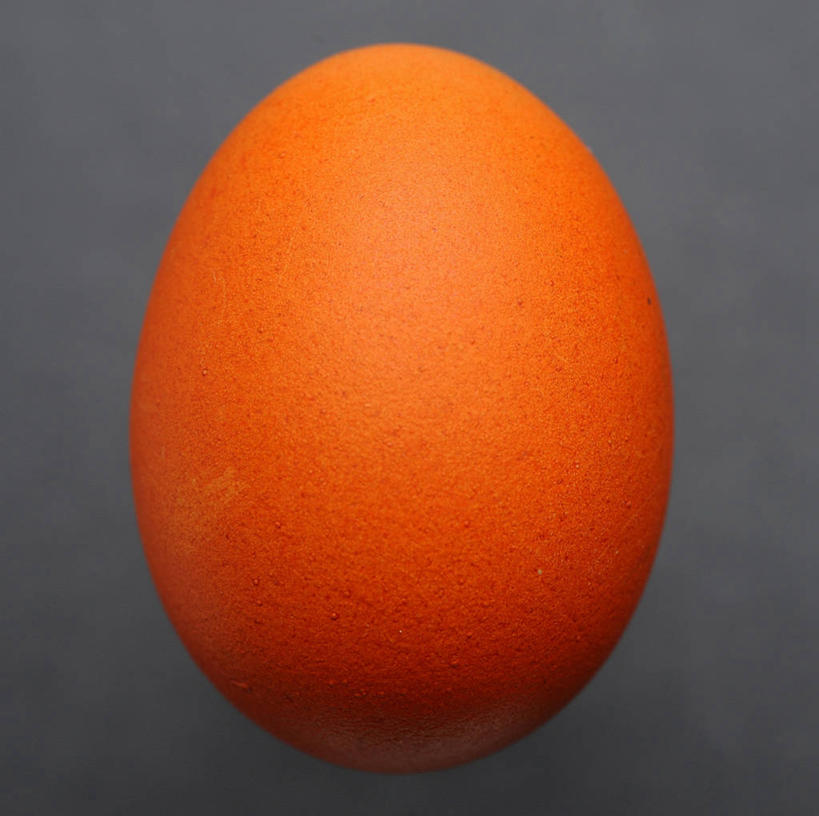 无人,横图,特写,德国,灰色背景,庆祝,一个,橙色,摄影,单个,简单,复活节彩蛋,彩图,影棚拍摄