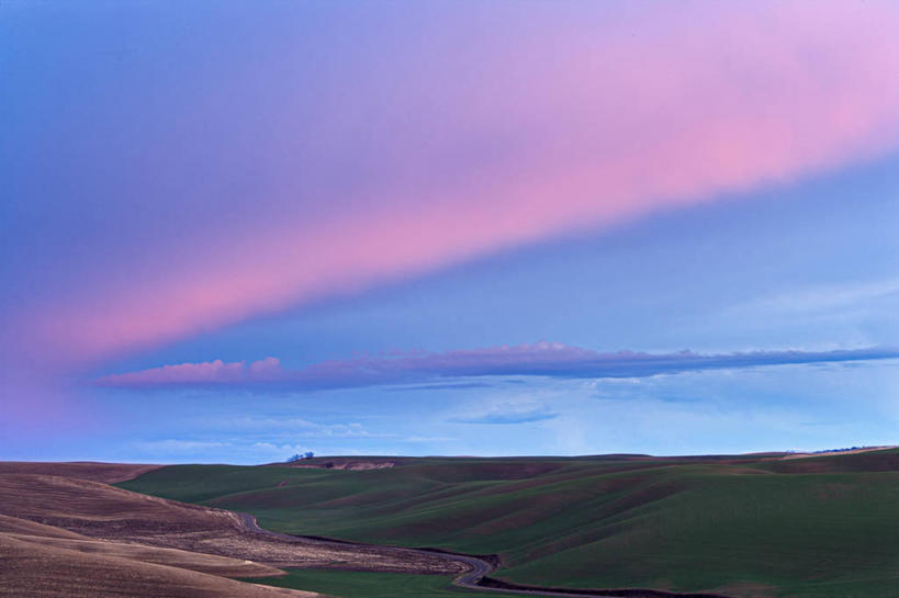 无人,横图,室外,旅游,度假,美景,日落,美国,景观,晚霞,霞光,云,落日,娱乐,粉色,风景,天空,自然,黄昏,享受,休闲,景色,彩霞,放松,摄影,宁静,自然风光,华盛顿州,帕卢斯,夕照,薄暮,夕阳,彩图,傍晚,斜阳