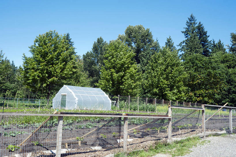 无人,横图,室外,白天,加拿大,篱笆,温室,树,自然,摄影,园林,保护,宁静,万里无云,温哥华,大不列颠哥伦比亚,彩图