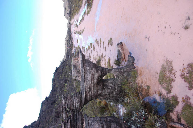 无人,横图,室外,白天,探险,山,山脉,巴西,苔藓,草,天空,自然,摄影,宁静,岩层,水坑,岩石,彩图,罗赖马山