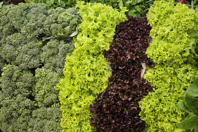 无人,横图,俯视,室外,白天,蔬菜,叶子,巴西,新鲜,食品,绿叶,市场,饮食,食物,嫩叶,零售,摄影,有机食品,绿色食品,清新,里约热内卢,叶,叶片,彩图,高角度拍摄