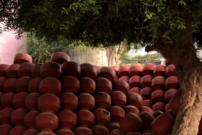 无人,横图,室外,白天,印度,许多,堆叠,丰富,很多,树,摄影,彩图,艾哈迈达巴德