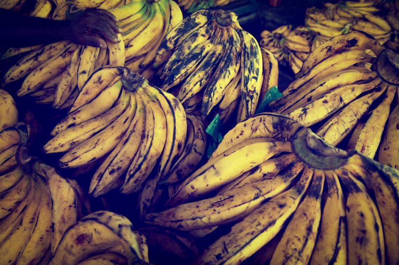 手,一个人,横图,室外,特写,白天,商务,香蕉,水果,巴西,萨尔瓦多,丰富,市场,串,南美,零售,摄影,部分,南美洲,拉丁美洲,清新,美洲,健康食物,巴西联邦共和国,首府,亚美利加洲,南亚美利加洲,巴伊亚,巴伊亚州,彩图