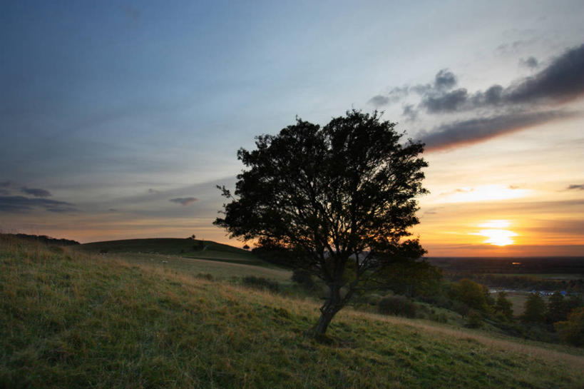无人,横图,室外,太阳,英国,地形,云,草,风景,天空,自然,摄影,宁静,白金汉郡,彩图,独处