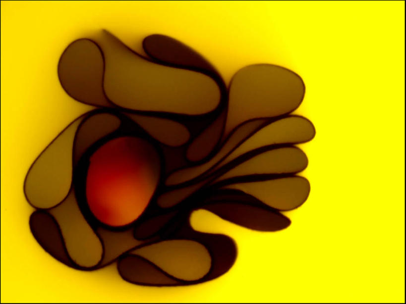 无人,横图,彩色,抽象,澳大利亚,黄色背景,圆形,褐色,黄色,红色,摄影,五颜六色,色彩斑斓,创造力,五彩缤纷,五彩斑斓,新南威尔士,式样,迷惑,五光十色,想法,彩图,影棚拍摄