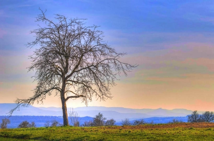 无人,横图,室外,美景,山脉,德国,欧洲,地形,景观,云,黎明,风景,天空,自然,景色,摄影,宁静,早晨,西欧,自然风光,德意志联邦共和国,巴登.符腾堡,巴登.符腾堡州,巴符州,彩图