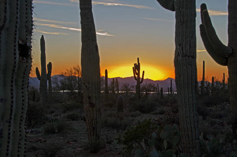 无人,横图,室外,日落,山脉,太阳,日光,美国,云,风景,天空,自然,摄影,生长,宁静,亚利桑那,北美,北美洲,国家公园,美洲,剪影,亚利桑那州,大峡谷之州,北亚美利加洲,亚美利加洲,萨瓜罗国家公园,皮马县,彩图,美利坚合众国