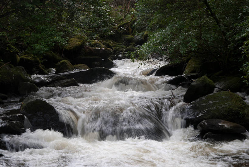 无人,横图,室外,白天,美景,瀑布,爱尔兰,欧洲,景观,树,自然,景色,摄影,西欧,清新,自然风光,芒斯特省,爱尔兰共和国,凯里郡,芒斯特,岩石,彩图