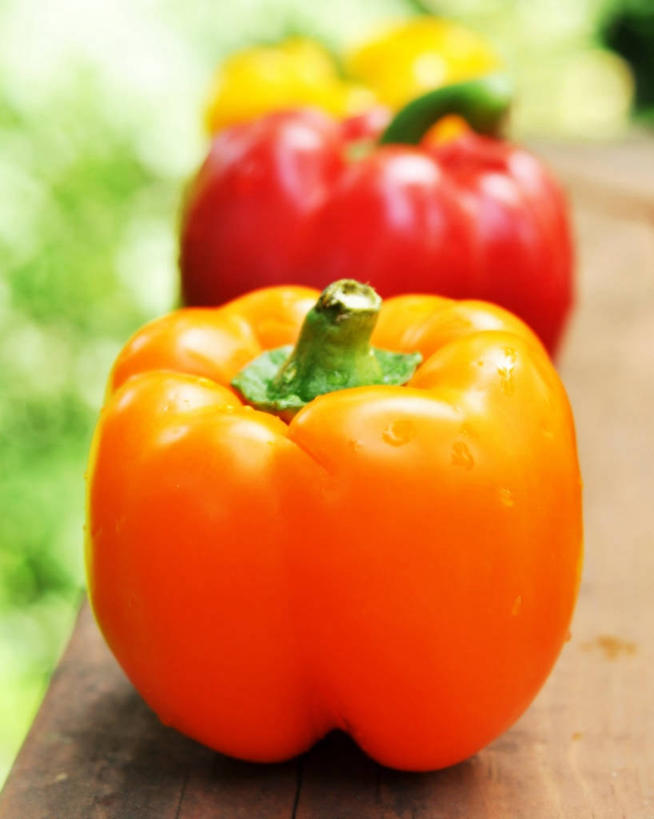 无人,竖图,室外,特写,白天,辣椒,蔬菜,美国,一排,新鲜,整齐,食品,饮食,食物,排列,三个,黄色,红色,摄影,有机食品,绿色食品,多样,队列,清新,彩椒,健康食物,辣角,红海椒,大椒,辣虎,广椒,甜椒,柿子椒,辣子,海椒,番椒,灯笼椒,彩图