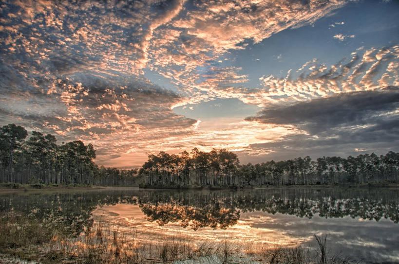 无人,公园,横图,室外,日出,湖,美景,水,美国,反射,景观,云,草,树,风景,天空,自然,景色,摄影,宁静,北美,北美洲,国家公园,自然风光,美洲,佛罗里达,佛罗里达州,佛州,阳光州,北亚美利加洲,亚美利加洲,埃弗格莱兹国家公园,大沼泽国家公园,大沼泽地国家公园,彩图,美利坚合众国