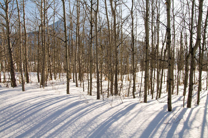 无人,横图,室外,白天,美景,山,雪,加拿大,阴影,景观,风景,自然,景色,寒冷,摄影,生长,北美,北美洲,自然风光,美洲,阿尔伯塔省,阿尔伯塔,北亚美利加洲,亚美利加洲,艾伯塔,艾伯塔省,卡尔加里,亚伯达,卡纳纳斯基斯,彩图,阿省,艾省,亚伯达省,亚省,卡城