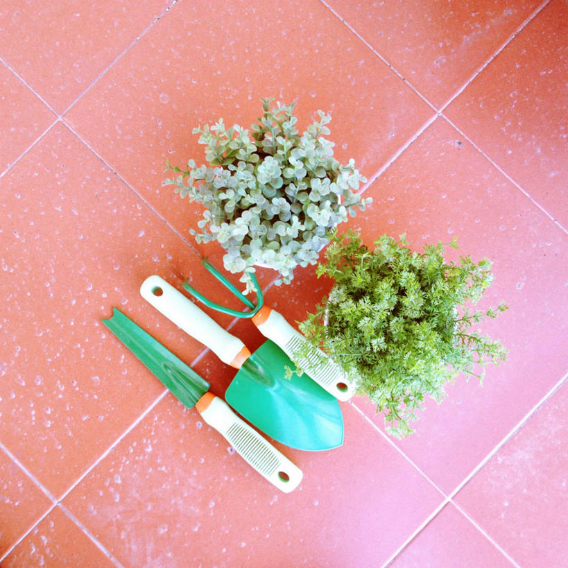 无人,方图,俯视,室内,特写,白天,阳台,日光,葡萄牙,铲子,首都,里斯本,自然,摄影,生长,多样,砖地,彩图,高角度拍摄