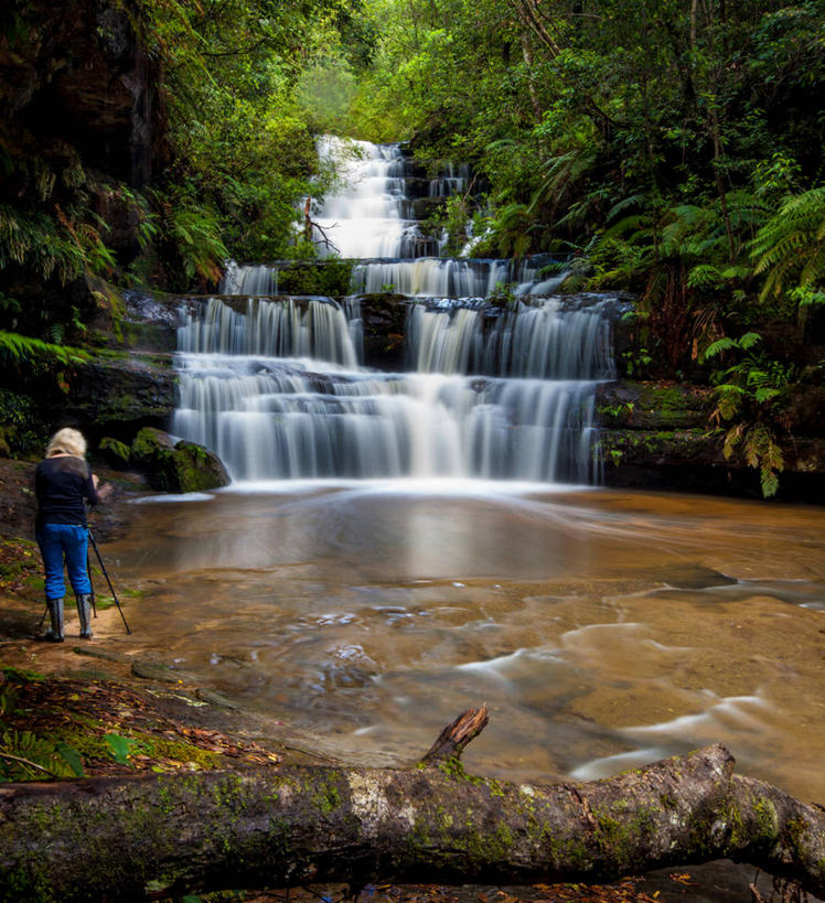 成年人,中年人,头发,一个人,站,竖图,室外,白天,长时间曝光,河流,美景,瀑布,相机,澳大利亚,仅一个女性,仅一个人,景观,枝,注视,休闲装,树,背面,自然,观察,看,仅一个中年女性,金色,景色,摄影,观看,察看,关注,自然风光,录像,新南威尔士,蓝山国家公园,女人,女性,中年女性,彩图