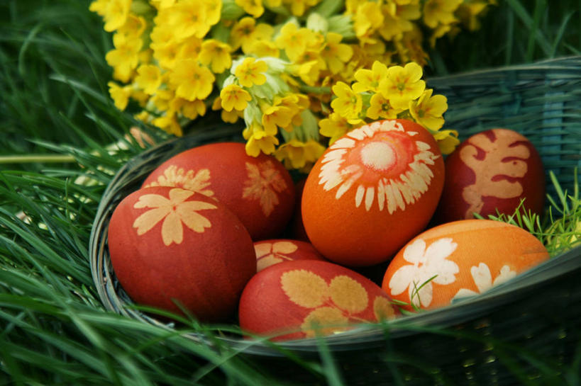 无人,横图,室外,特写,白天,静物,叶子,花纹,庆祝,装饰,篮子,草,花,红色,绿色,摄影,创造力,脆弱,清新,复活节彩蛋,塞尔维亚,黄花九轮草,彩图,传统文化,皮罗特