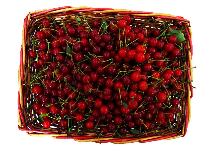 无人,横图,特写,白色背景,樱桃,水果,意大利,丰富,篮子,食品,摄影,清新,健康食物,彩图,影棚拍摄