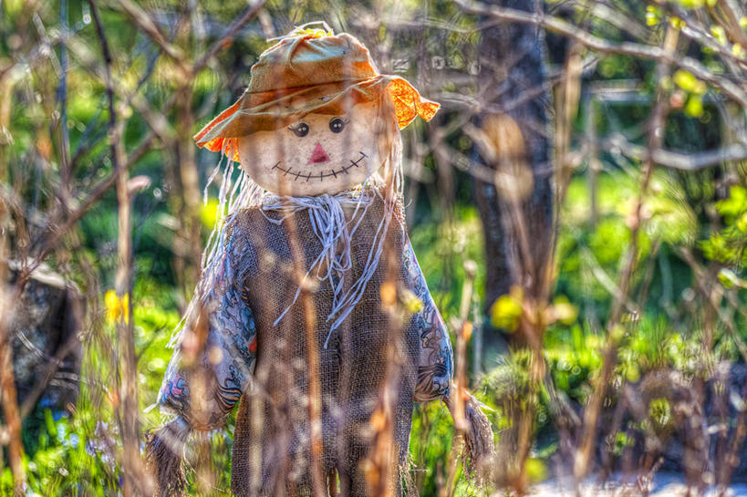 无人,横图,室外,白天,幸福,农业,标志,符号,标识,稻草人,夏天,摄影,生长,保护,幽默,种植园,性别符号,彩图,男性符号