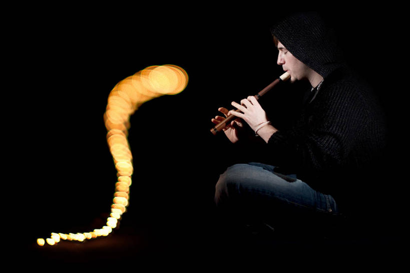 成年人,一个人,坐,横图,侧面,德国,仅一个男性,仅一个人,黑色背景,蛇,火焰,光,热,音乐,拿着,仅一个年轻男性,摄影,长笛,驯兽师,想法,伍珀塔尔,男人,男性,年轻男性,年轻人,彩图,影棚拍摄