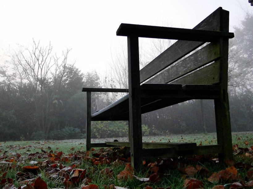 无人,横图,室外,雾,叶子,荷兰,木制,长椅,黎明,天气,草,自然,摄影,宁静,北布拉班特,秋天,彩图