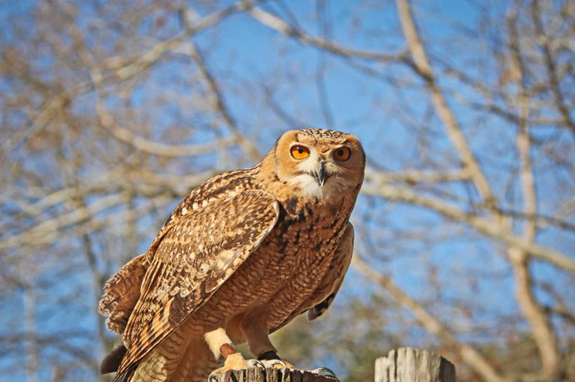 横图,美国,摄影