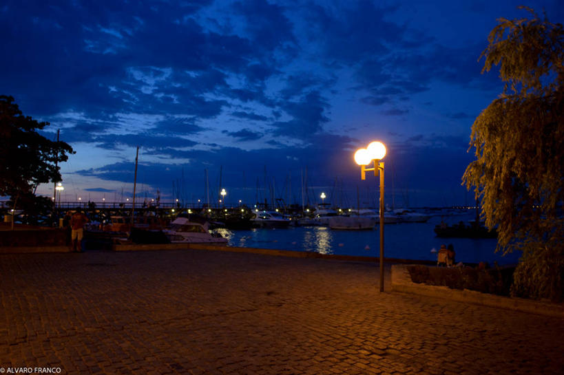 横图,室外,日落,船,乌拉圭,云,树,天空,运输,摄影,照亮,彩图,海港