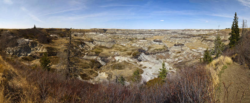 无人,横图,全景,室外,白天,加拿大,地平线,云,辽阔,地面,树,风景,天空,自然,广阔,摄影,宁静,一望无际,延伸,天地相交,无边无际,一马平川,亚伯达,荒地,彩图