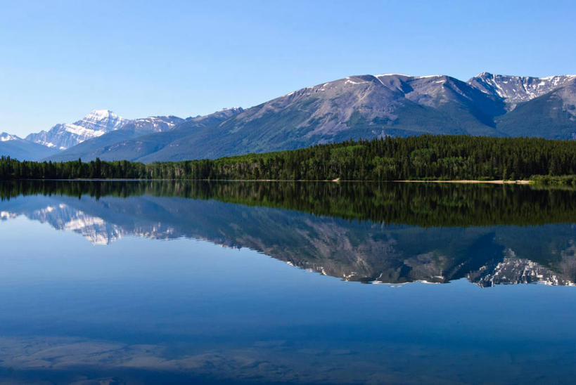 横图,加拿大,摄影,亚伯达