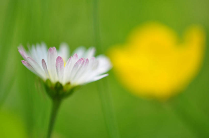 横图,奥地利,摄影