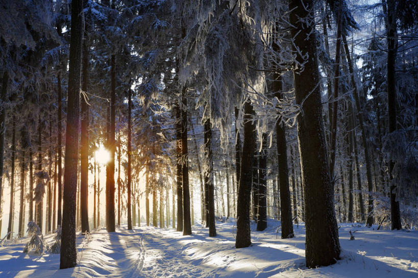 横图,德国,摄影