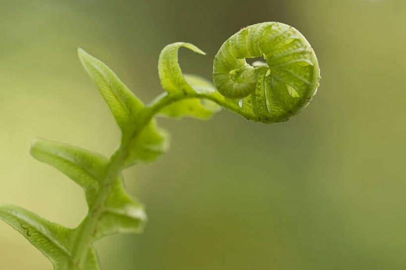 横图,美国,摄影,俄勒冈州