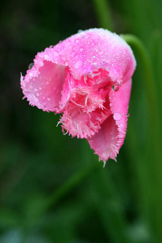 竖图,新西兰,摄影