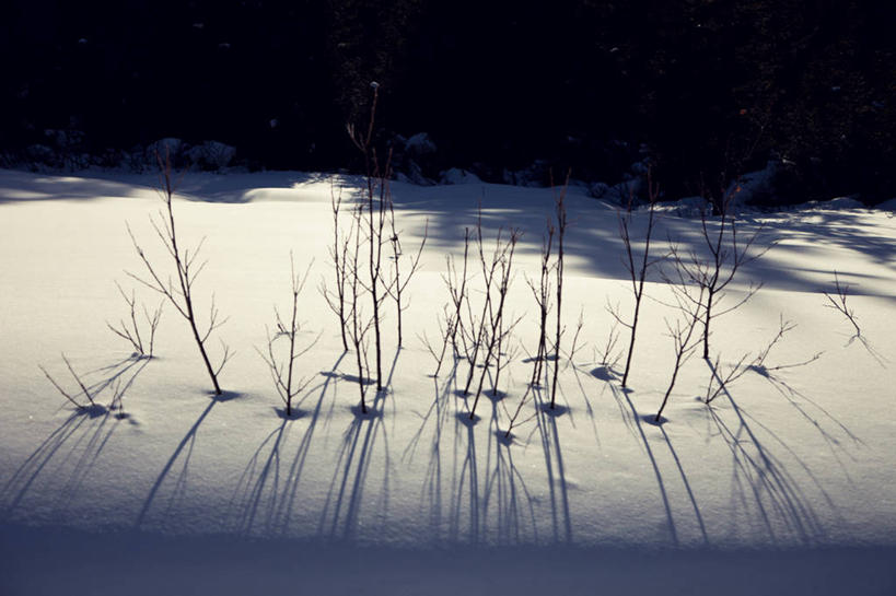横图,意大利,摄影,特伦托