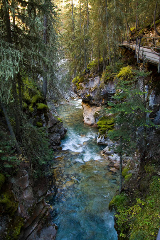 竖图,加拿大,摄影,亚伯达,彩图