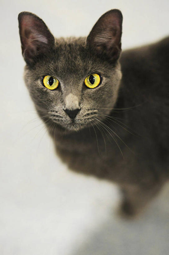 竖图,美国,摄影,北美,北美洲,美洲,佛罗里达,奥兰多,佛罗里达州,佛州,阳光州,北亚美利加洲,亚美利加洲,彩图,美利坚合众国