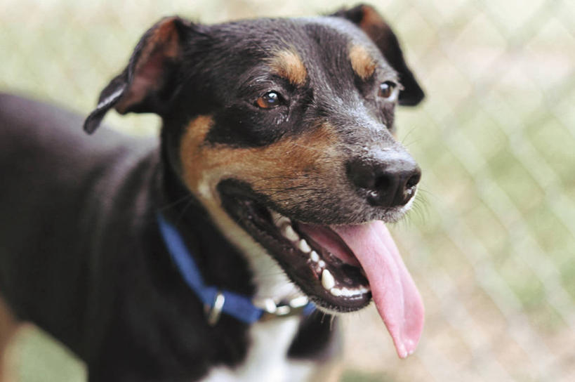 横图,美国,摄影,北美,北美洲,美洲,佛罗里达,佛罗里达州,佛州,阳光州,北亚美利加洲,亚美利加洲,彩图,美利坚合众国,莱克兰