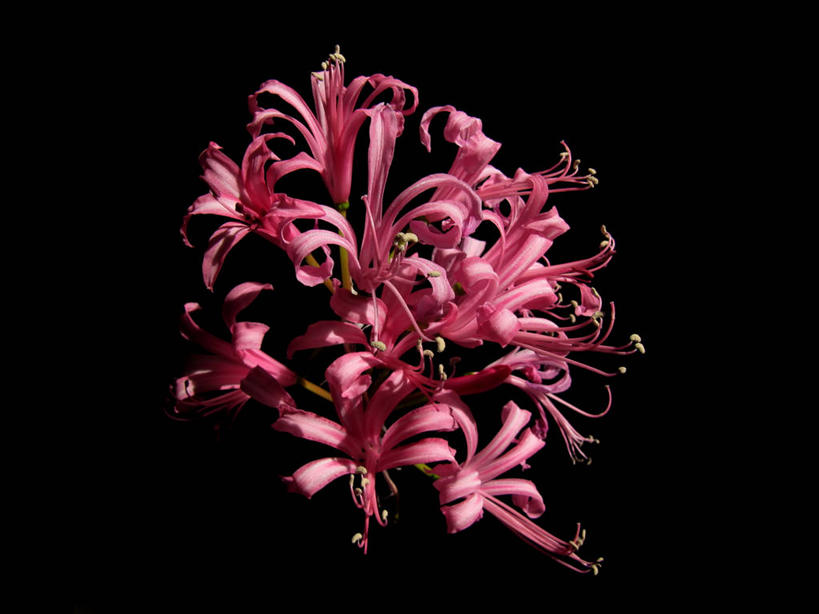 横图,挪威,欧洲,摄影,斯堪的纳维亚,北欧,斯堪的那维亚,斯堪的那维亚半岛,斯堪的纳维亚半岛,挪威王国,罗加兰,罗加兰郡,彩图