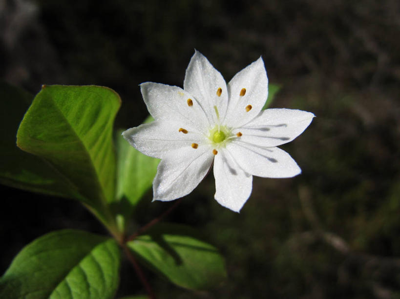 横图,挪威,欧洲,摄影,斯堪的纳维亚,北欧,斯堪的那维亚,斯堪的那维亚半岛,斯堪的纳维亚半岛,挪威王国,罗加兰,罗加兰郡