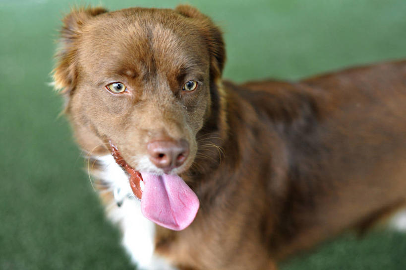 横图,美国,摄影,北美,北美洲,美洲,佛罗里达,佛罗里达州,佛州,阳光州,北亚美利加洲,亚美利加洲,美利坚合众国,莱克兰