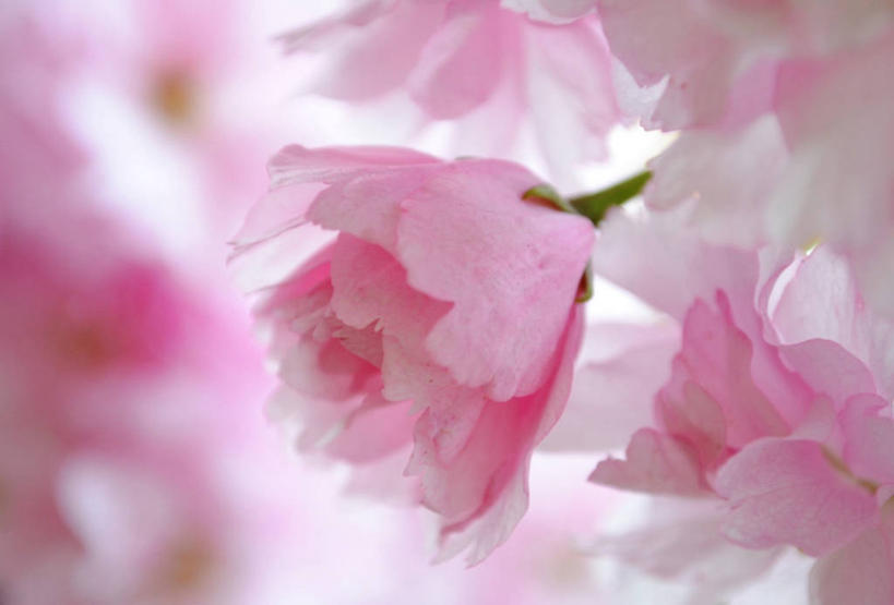 横图,英国,首都,摄影