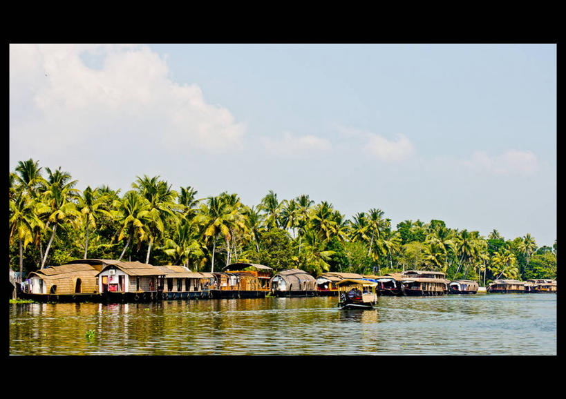 横图,印度,摄影,喀拉拉邦