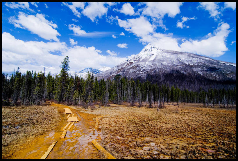 横图,加拿大,摄影,大不列颠哥伦比亚