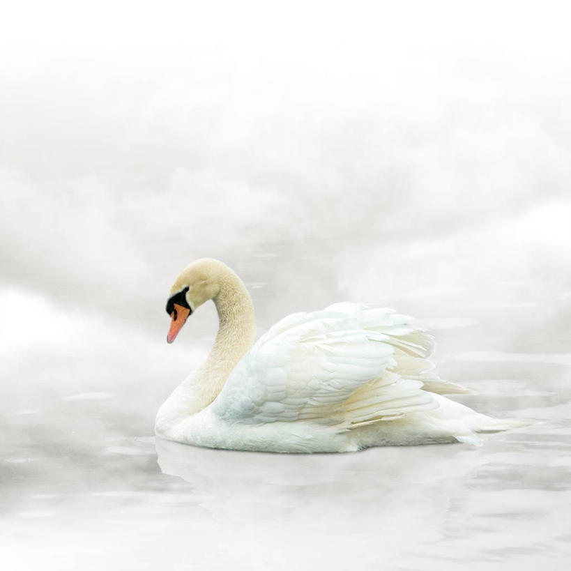 方图,英国,摄影