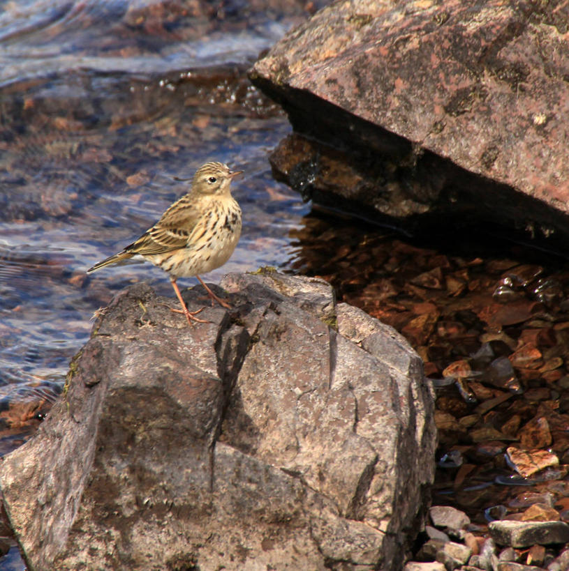 竖图,英国,摄影,坎布里亚