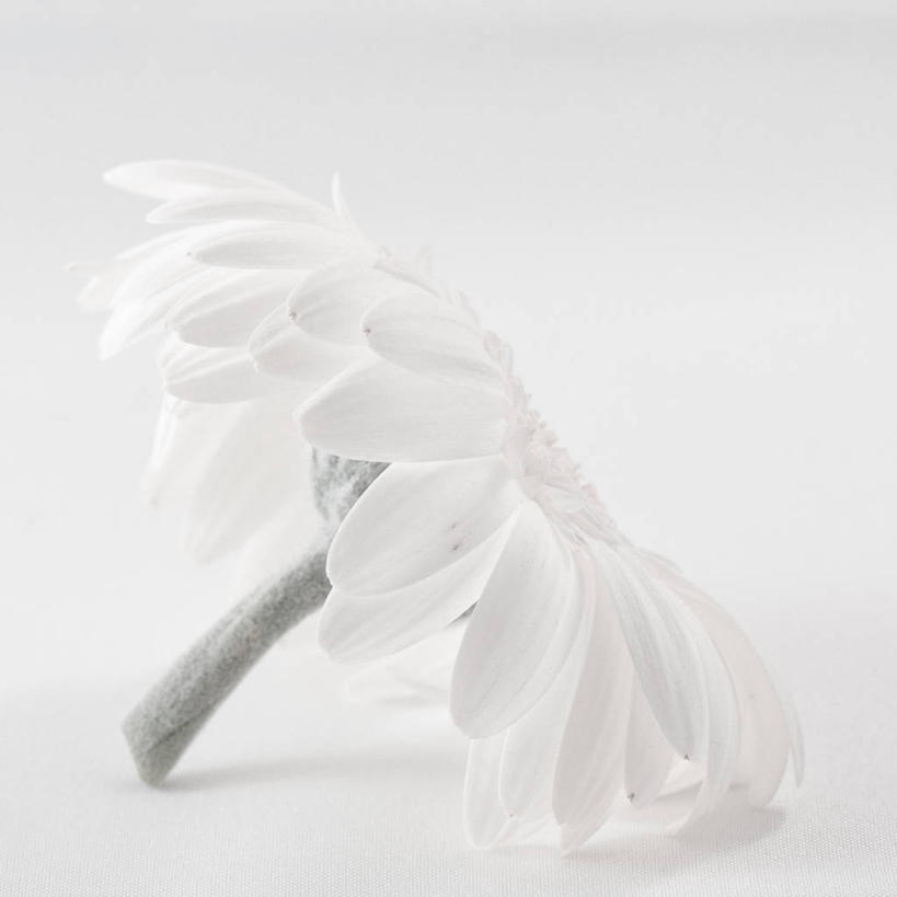 方图,荷兰,摄影